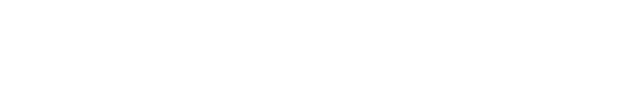Network IT